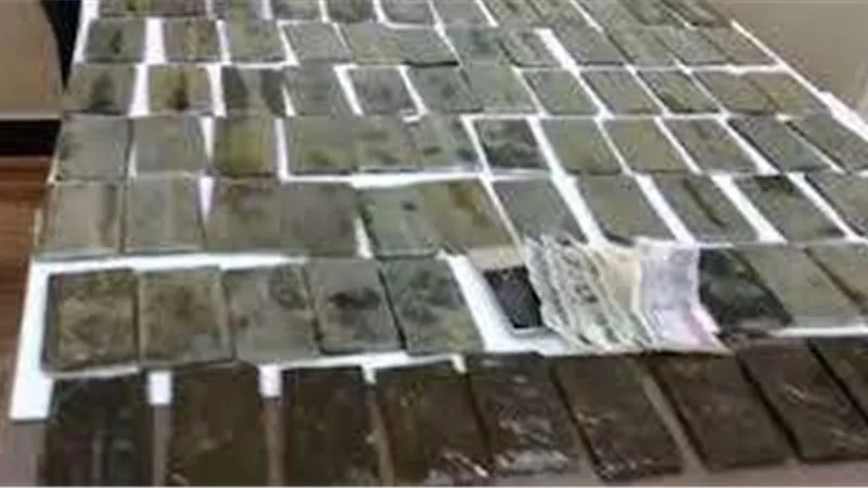 «مكافحة المخدرات» ضبط حشيش وهيروين وسلاح بالقاهرة