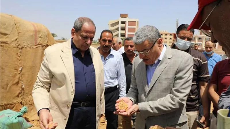 محافظ المنيا يتابع عملية استلام محصول القمح