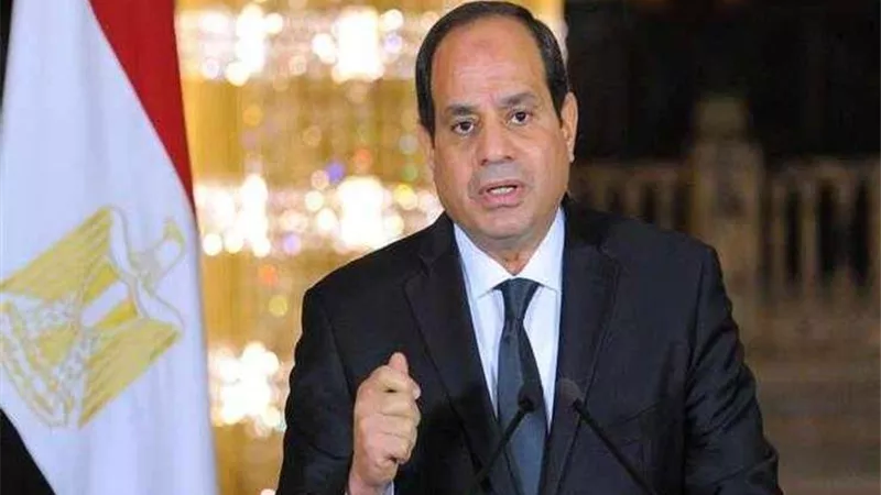 السيسي: نمتلك أقوى جيوش بالمنطق واستخدامنا للقوة رشيد.. فيديو
