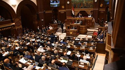 بدء أعمال الجلسة العامة بمجلس الشيوخ لاستكمال مناقشة تفعيل دور التعاونيات