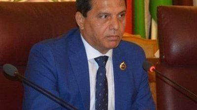 دفاع الشيوخ: مشاركة مصر في المبادرة الإفريقية تعكس الدور المصري لحل الصراعات سلميًا