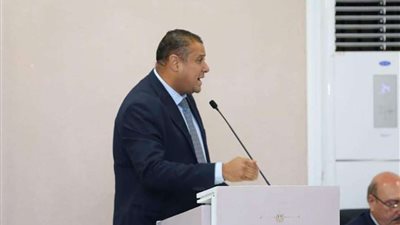 النائب محمد إسماعيل يطالب بمسائلة مجالس الإدارات الخاسرة في الهيئات الاقتصادية