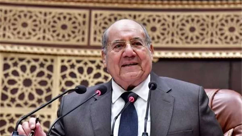 عبد الرازق يفتتح أعمال الجلسة العامة لمجلس الشيوخ