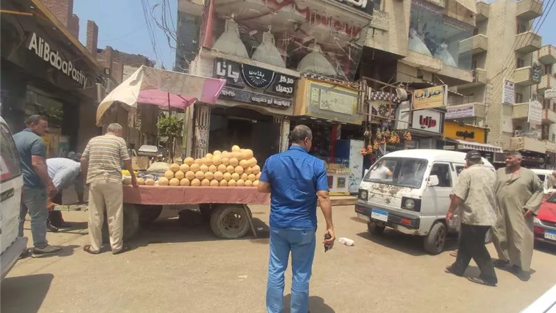 رفع 20 حاله إزالة فورية وتحرير 10 محاضر في المنوفية
