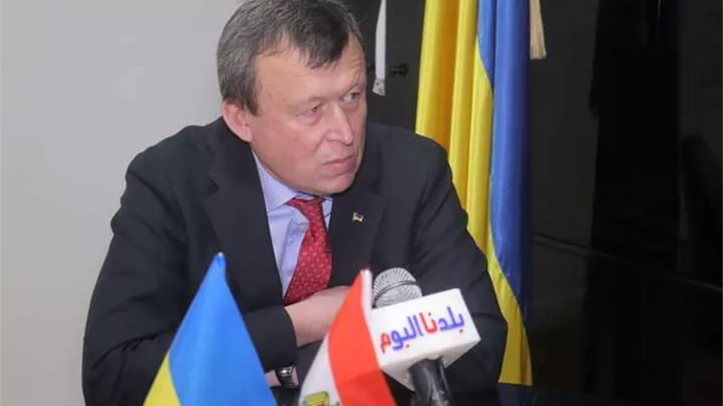 السفير الأوكراني بالقاهرة: كييف تعرضت لهجوم صاروخي أثناء تواجد الوفد الأفريقي