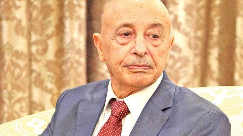 عقيلة صالح 