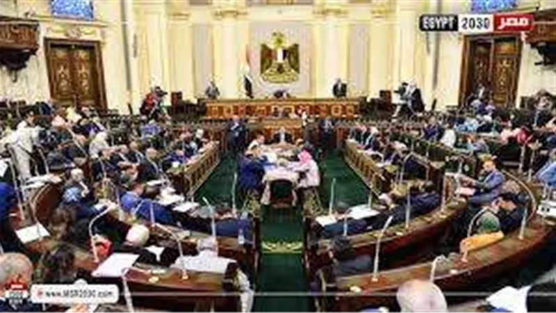 أستاذ قانون دستوري: يجب زيادة عدد أعضاء مجلس النواب ليتناسب مع عدد السكان