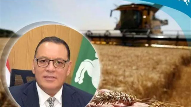 صوامع وشون محافظة الشرقية تفتح أبوابها لإستقبال ٦٥٣ طن و ٥٩٤ كيلو من الذهب الأصفر