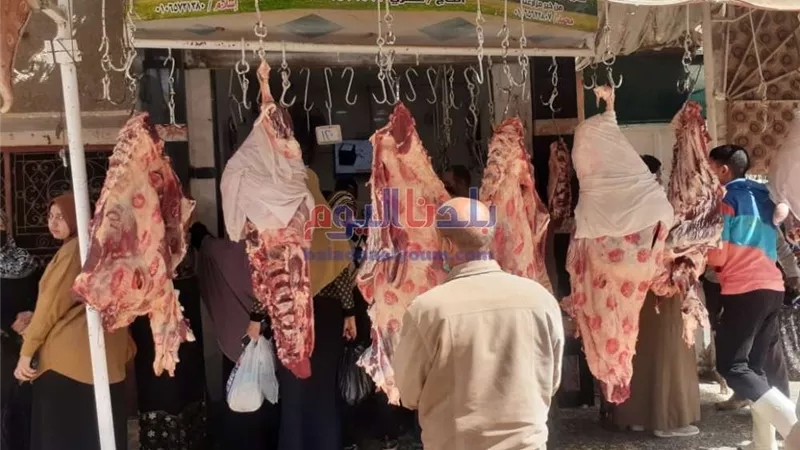 ضبط لحوم مذبوحة خارج المجزر وأدوية مجهولة المصدر في حملة لحماية المستهلك ببني سويف