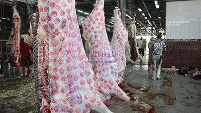 القاهرة تفتتح 6 مجازر مجاناً للمواطنين في العيد
