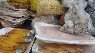 ضبط أسماك منتهية الصلاحية في حملة تفتيشية مكبرة بالمنوفية