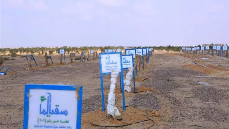إطلاق مبادرة نخيل الخير بوادي النطرون لزراعة ٤ الاف نخلة