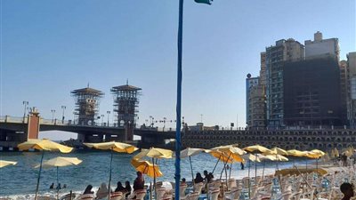 البحر هادىء.. رفع الراية الخضراء على شواطىء الإسكندرية