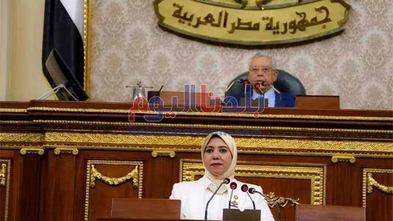 برلمانية: عدم وجود موارد مالية يشكل عائقًا كبيرًا أمام قصور الثقافة