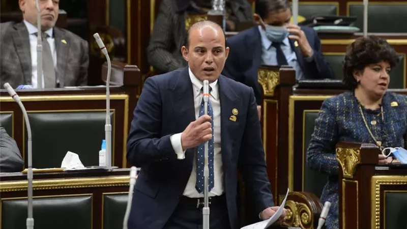 عمرو القطامي: ملف الاستثمار بحاجة إلى دماء وقوانين جديدة لمواكبة جهود الدولة