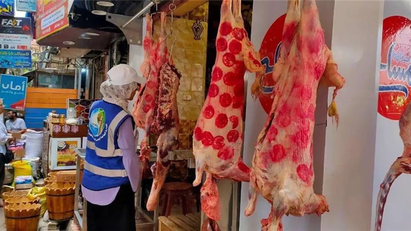تكثيف الحملات التوعوية بمخلفات الأضاحي في الإسكندرية قبل حلول عيد الأضحى