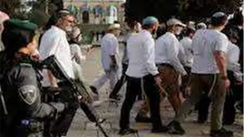 سياسي فلسطيني: نواجه إرهابا يتمثل في اعتداءات المستوطنين