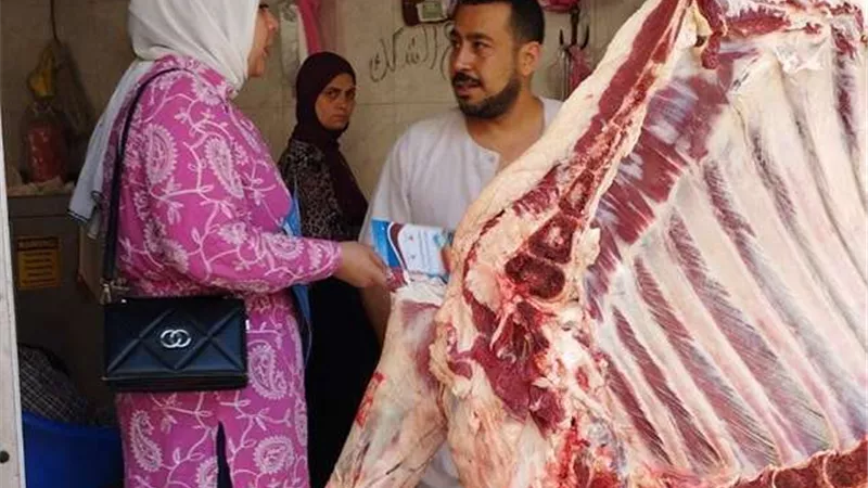 حملات توعية مكثفة لمياه الشرقية للحد من الإسراف في عيد الاضحي