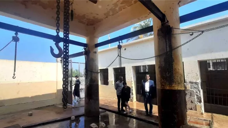 محافظ المنيا: 38 مجزرًا جاهز لذبح أضاحى العيد مجانًا