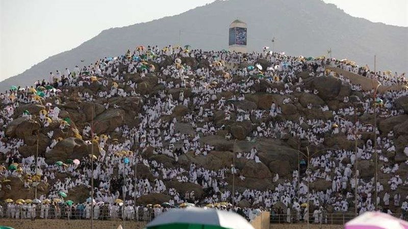 بالصور.. ضيوف الرحمن