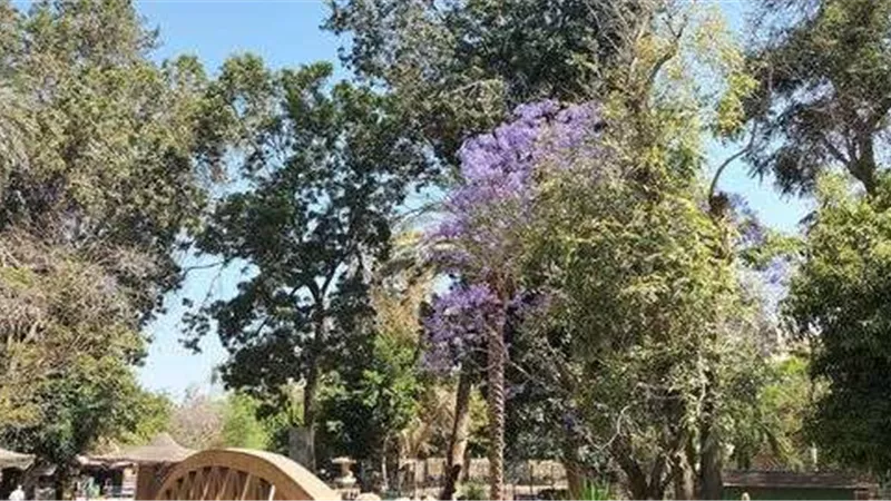 أماكن للخروج في عيد الأضحى بأقل تكلفة.. ما هي؟