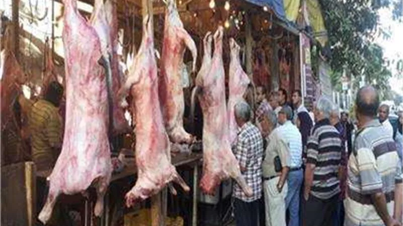 أسعار اللحوم والدواجن تشهد استقرارًا نسبيًا في الأسواق بوقفة العيد