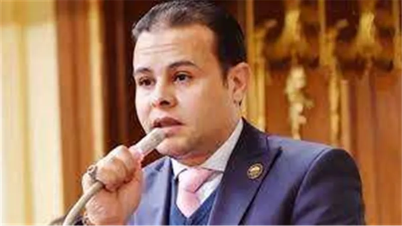 برلماني: ثورة 30 يونيو حققت أهداف الوطن والمواطنين