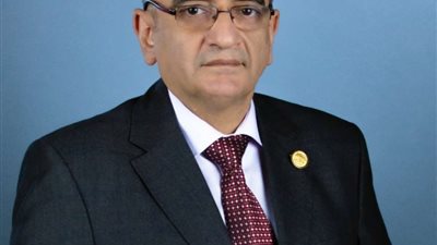 النائب حاتم فرج: 30 يونيو قضت على خفافيش الظلام الشيطاني