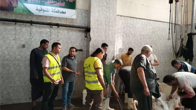رئيس مدينة أشمون : نحر 28 رأس ماشية خلال أيام عيد الأضحى