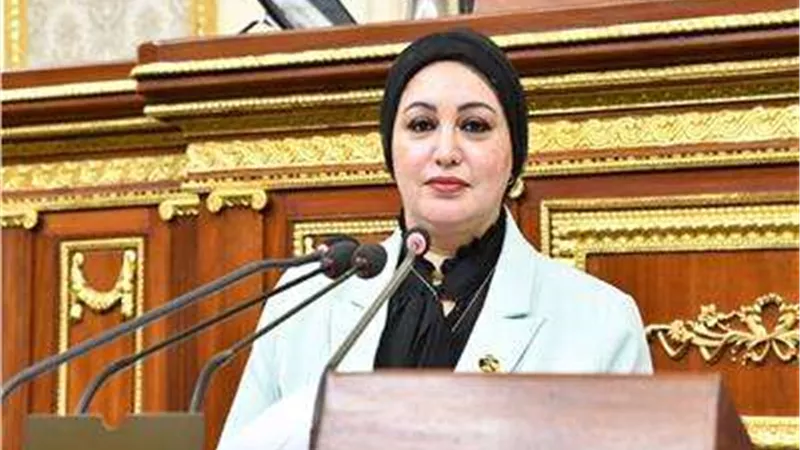 برلمانية تطالب الحكومة بتقديم الدعم والمساندة لمؤسسات المجتمع المدني