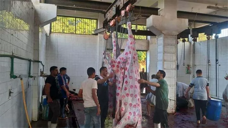 مجازر المنيا جاهزة لاستقبال عيد الأضحى المبارك