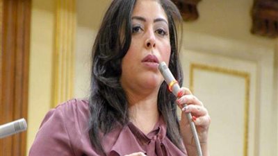 النائبة مرثا محروس.. نجني ثمار نجاح ثورة 30 يونيو