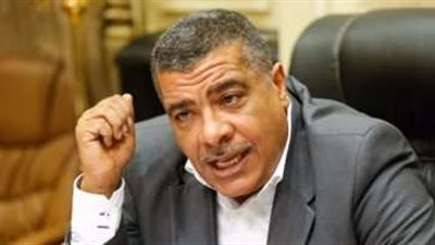 صناعة البرلمان ثورة 30 يونيو كانت منحة إلهية لشعب مصر في وقت عصيب وكلمة السيسي اليوم تجدد العهد للحفاظ على الوطن