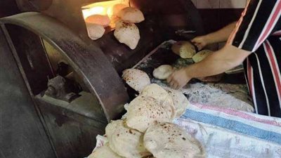 تموين الإسكندرية تُحرر 40 محضرًا في رابع أيام عيد الأضحى