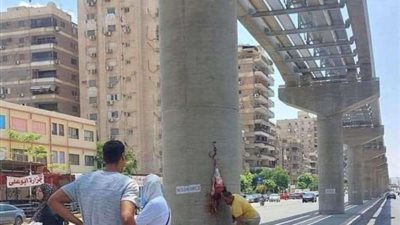 ما هي العقوبات التي تنتظر جزار المونوريل؟.. تفاصيل