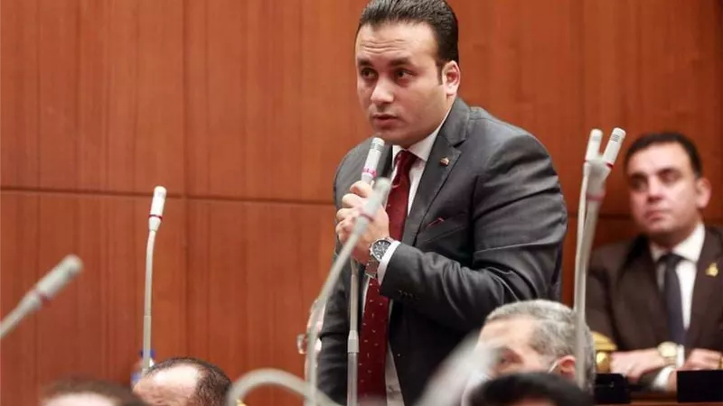 النائب عمرو فهمي: ثورة 30 يونيو أنقذت مصر من الضياع وأعادتها إلى الصف العربي
