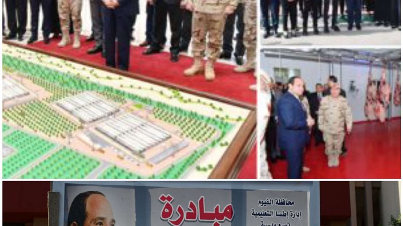 مشروعات الفيوم