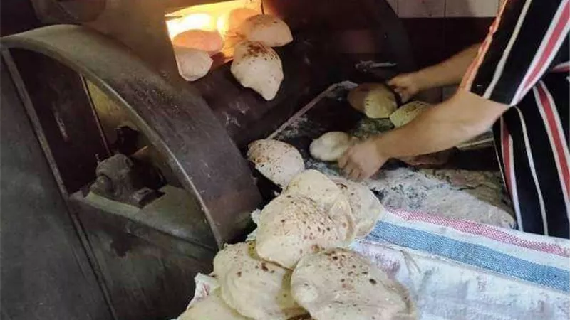 تموين الإسكندرية تُحرر 40 محضرًا في رابع أيام عيد الأضحى