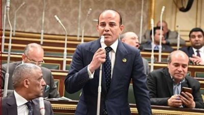 النائب عمرو القطامي: بيان 3 يوليو أنقذ الدولة من فوضى عارمة