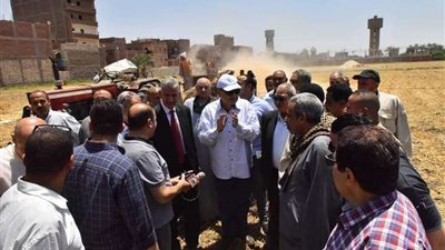 إرتفاع معدلات توريد القمح المحلي إلى 135 ألف طن بأسيوط