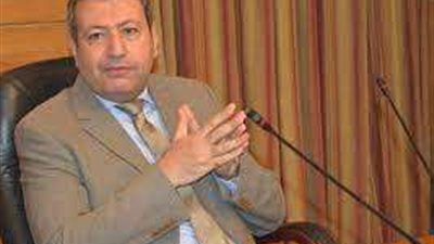 طارق شكري: بيان 3 يوليو كان خارطة طريق نحو المستقبل