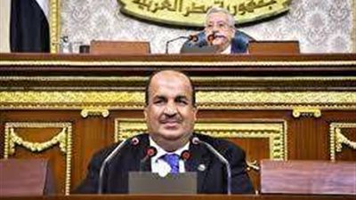 وكيل اللجنة الاقتصادية: ثورة 30 يونيو ستظل الثورة الشعبية الأهم في تاريخ مصر