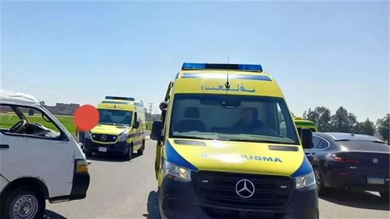 مصرع وإصابة 11 أشخاص في حادث بـ«صحراوي البحيرة»