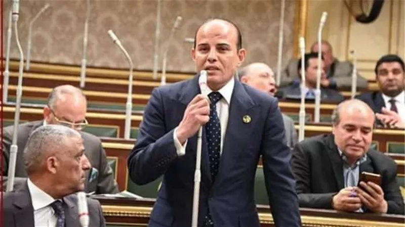 النائب عمرو القطامي: بيان 3 يوليو أنقذ الدولة من فوضى عارمة