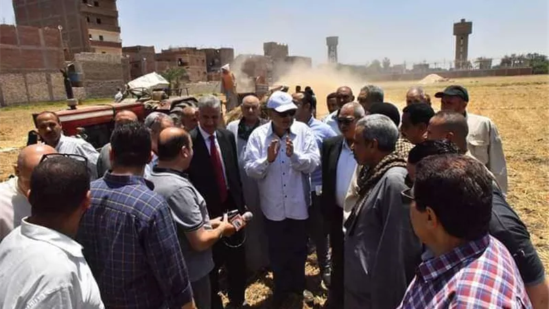 إرتفاع معدلات توريد القمح المحلي إلى 135 ألف طن بأسيوط