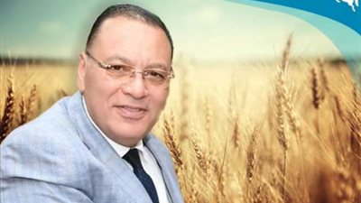 توريد 225 طن قمح لصوامع وشون الشرقية