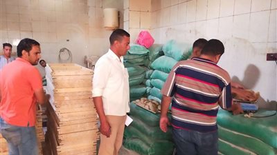 محافظ أسيوط: تكثيف الحملات الرقابية بالمراكز