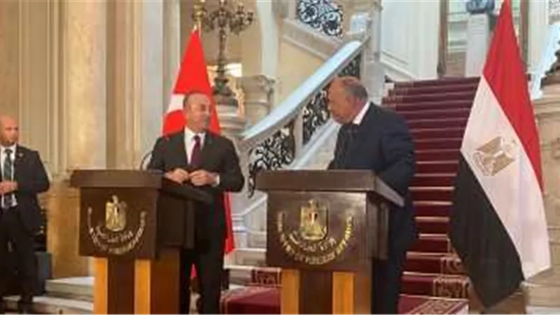 ترحيب عربي بعودة السفراء بين مصر وتركيا