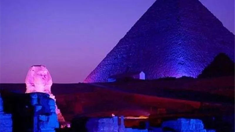 مصر تشارك في المبادرة العالمية 