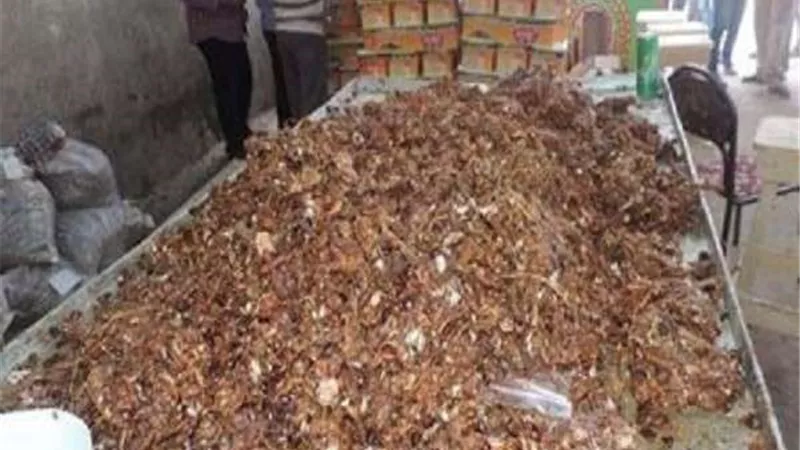 ضبط 3 أطنان 